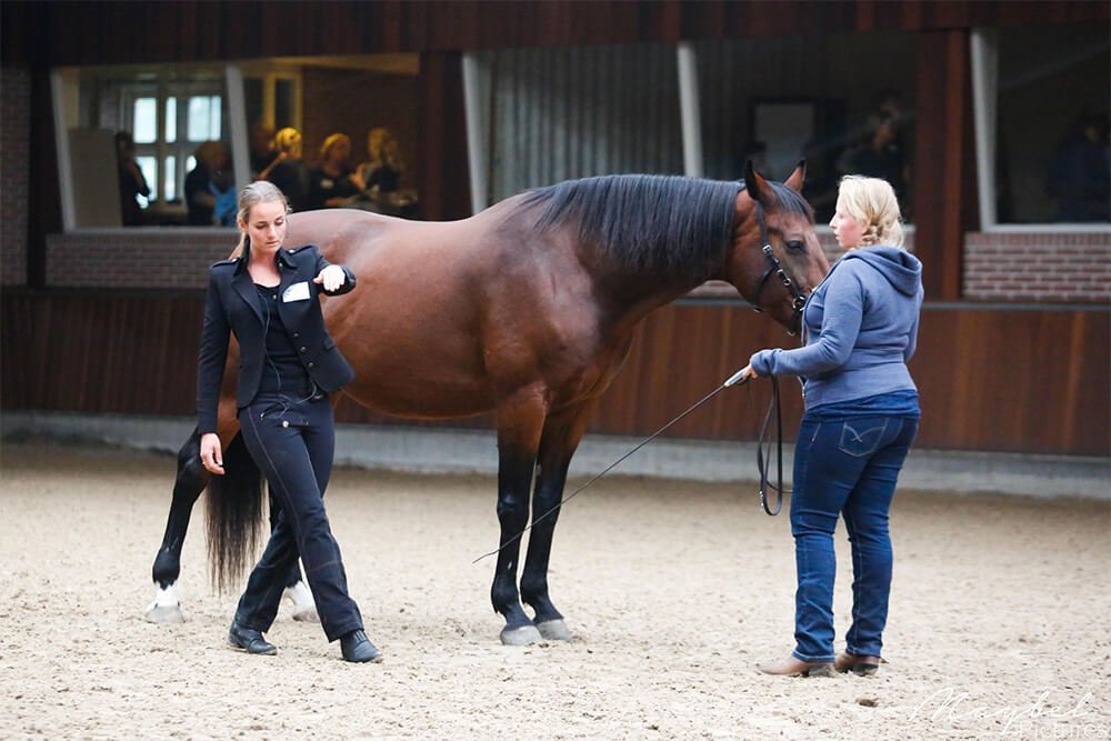 Intensieve Trainingsgroepen start maart 2024