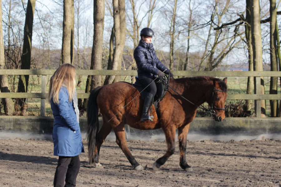 Trainingsweken en -midweekenden