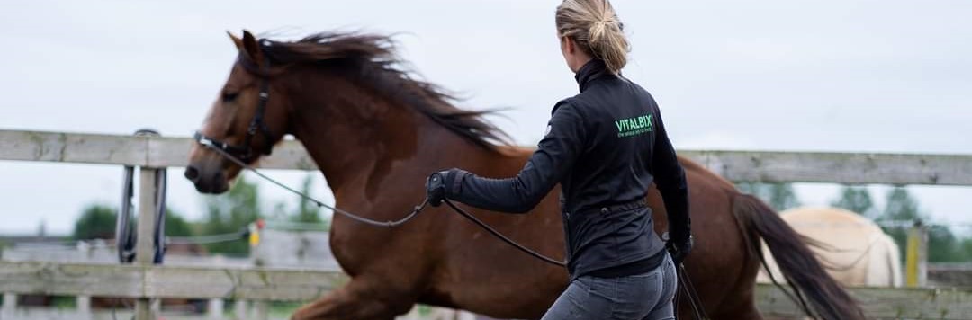 Trainingstouw Celine van der Stroom